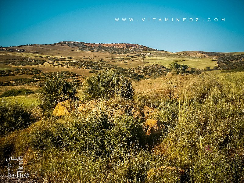 Région d'El Fehoul (Tlemcen) région semi montagneuse