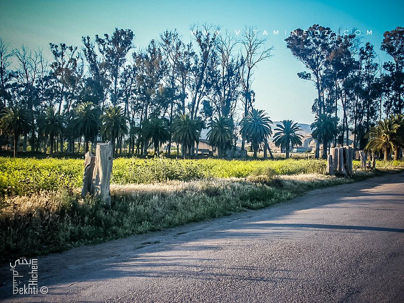 Village d'El Fehoul (W. Tlemcen)