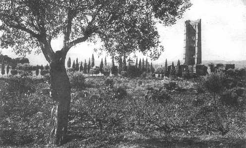 Les ruines de Mansourah, Tlemcen