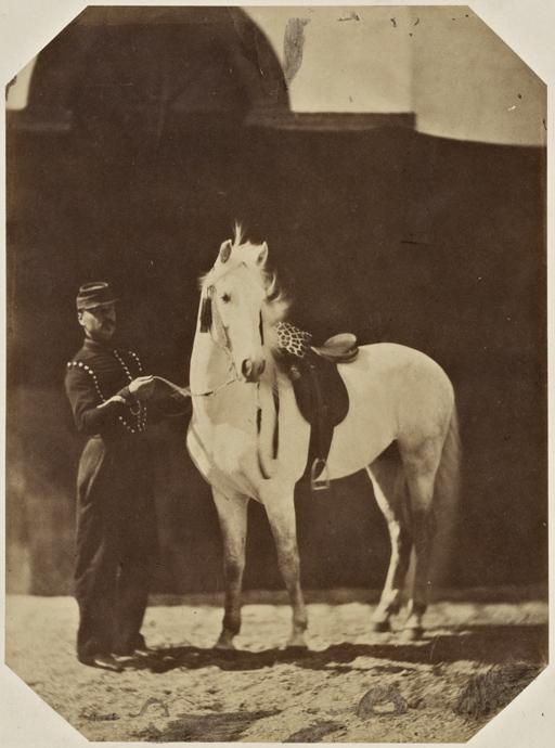 [Militaire tenant un cheval] (Photo rare)