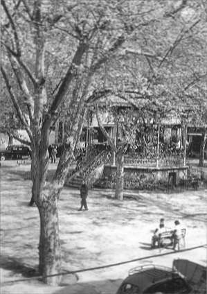 Place de la Mairie et Kiosque (Tlemcen)