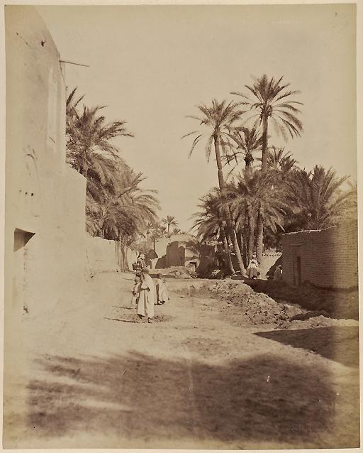 Le Vieux-Biskra (Photo rare)