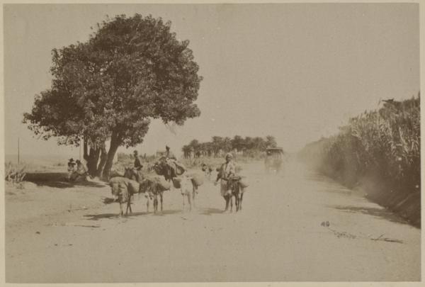 Alger. Route de Constantine (Photo rare)