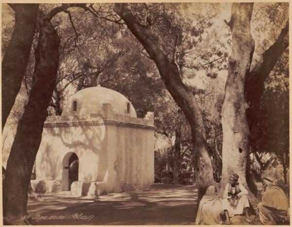 Bois sacré (Blida) (Photo rare)