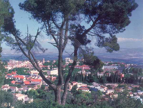 Vue générale de Tlemcen