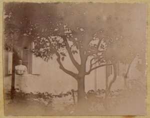 [Femme à une fenêtre] (Photo rare)