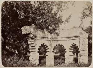 Tlemcen. Marabout au bois de Boulogne (Photo rare)