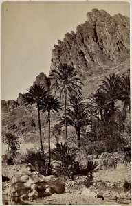 Intérieur de la gorge d'El Kantara (Photo rare)