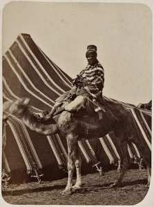 Touareg et tente arabe (Photo rare)