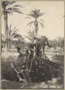 Puits du jardin d'Igli (Photo rare)