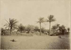 Reggan. L'ancien ksar (Photo rare)