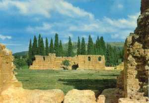 Mansourah Ruins in Tlemcen (English)