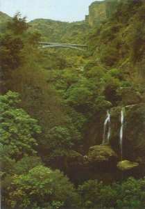 Pont et Cascades d'El Ourit (Tlemcen) Waterfalls شلال لوريط