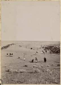 [Campement de la colonne de Hassi Bel Héirane du capitaine Pujat chargé de la construction du Fort Lallemand] : halte entre Hassi-Bou-Larrouah et Hassi-baoud-ech-Cheikh] (Photo rare)
