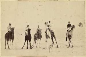 [Touggourt ?. Officiers et soldats méharistes] (Photo rare)