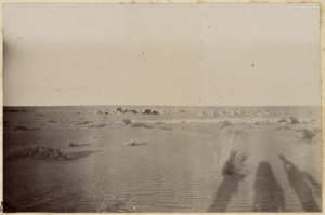 [Campement de la colonne de du capitaine Pujat chargé de la construction du Fort Lallemand] (Photo rare)