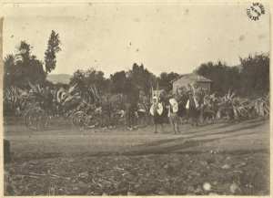 [Constantine ? Homme dans une calèche] (Photo rare)