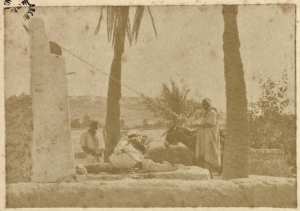 [Puits saharien] (Photo rare)