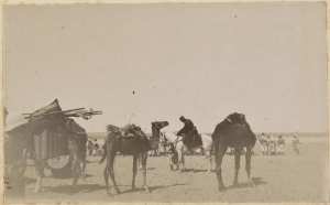 [Construction du Fort Lallemand par la colonne du capitaine Pujat : portage du matériel] (Photo rare)