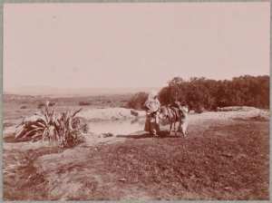 Les Eaux-Chaudes : la même source (Photo rare)