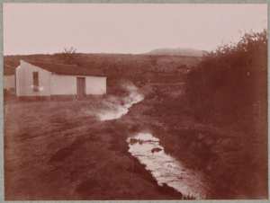 Bou-Hanifia : ruisseau d'eau thermale photographié au petit jour (Photo rare)
