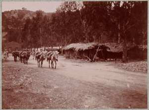 Hammam-Melouane (Photo rare)