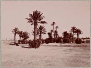 Beni-Ounif de Figuig (Photo rare)