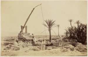 Sahara algérien. Puits à irrigation au Sahara (Photo rare)