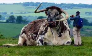 ‏ثلاثة لا تقترب منهم: