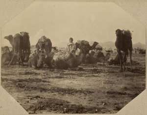 [Caravane] (Photo rare)