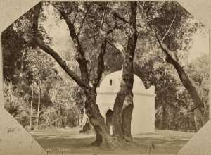 Bois-Sacré. Blidah (Photo rare)