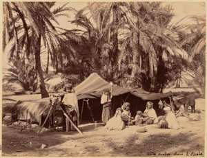 Tentes arabes dans l'oasis (Photo rare)