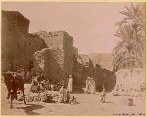 Oasis de Chetma près Biskra (Photo rare)