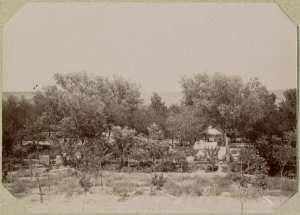 El Aricha. Les jardins de la garnison (Photo rare)