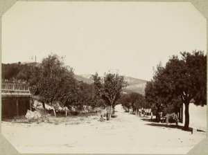 Route d'Inkermann en sortant de la redoute (Photo rare)