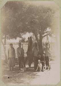 Algérie. Militaires de retour de la chasse avec leur trophée, un sanglier (Photo rare)