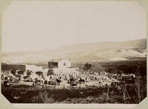 Algérie [El Aricha. Marché] (Photo rare)