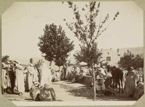 Algérie. Marché d'Ammi-Moussa. L'abreuvoir (Photo rare)