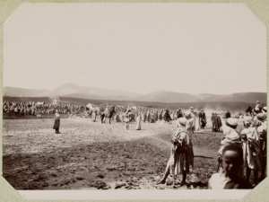 Algérie. Fête arabe. Vue d'ensemble (Photo rare)