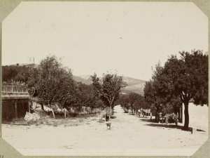 [Route d'Inkermann en sortant de la redoute] (Photo rare)