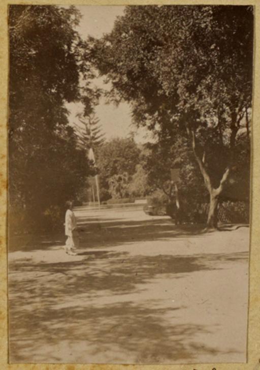 Jardin Bizot [Blida] (Photo rare)