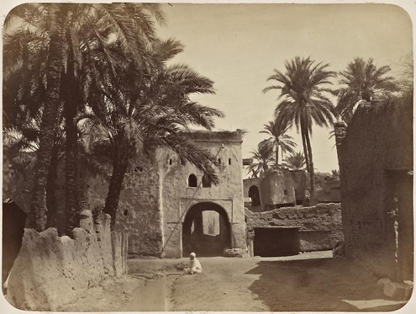 Lichana. Oasis (Photo rare)