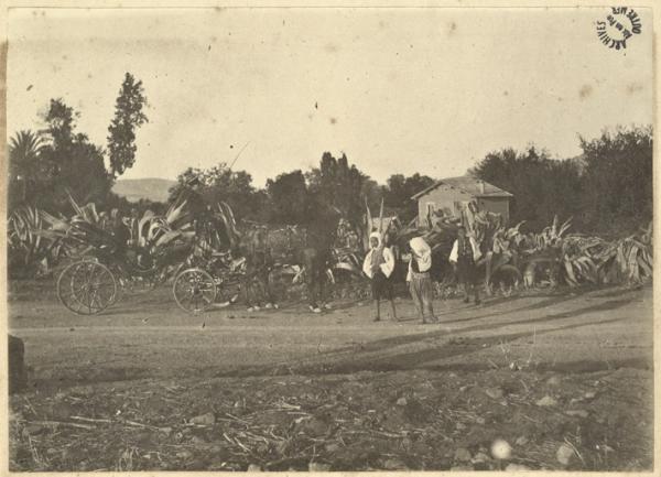 [Constantine ? Homme dans une calèche] (Photo rare)