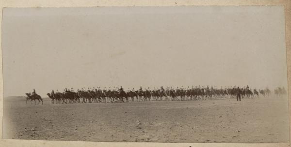 Revue pour remettre la croix de chevalier au Maréchal des logis Joly. Timimoun 1902 (Photo rare)