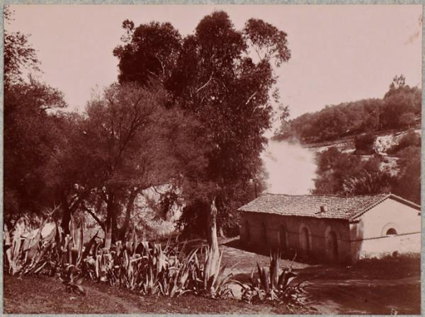 Hammam-Meskoutine.  La source à travers les arbres (Photo rare)