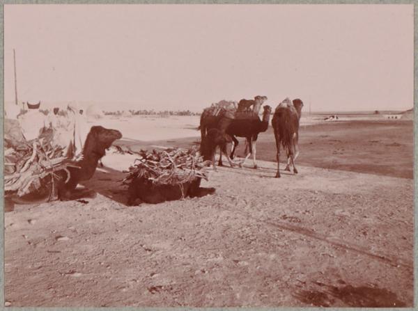 Beni-Ounif de Figuig (Photo rare)
