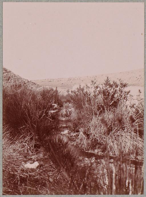 Bou-Hanifia : la même [source] vue de plus près (Photo rare)