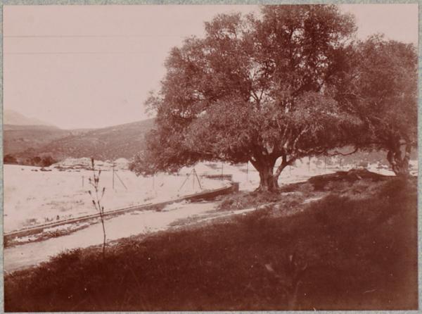 Hammam-Meskoutine.  Nappe d'eau au dessus de la grande cascade ; dans le fond, on aperçoit les cônes de dépôts dont les photographies suivantes donnent l'image prise de plus en plus près (Photo rare)