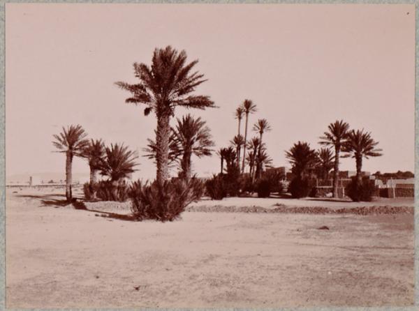 Beni-Ounif de Figuig (Photo rare)