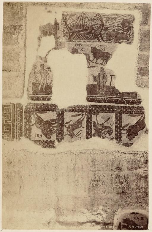 Tebessa. Mosaïque de la Salle des Jeux (thermes romains) (Photo rare)